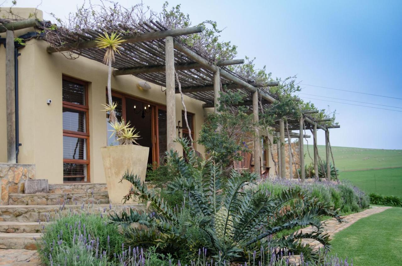 Rouxwil Country House Caledon Εξωτερικό φωτογραφία
