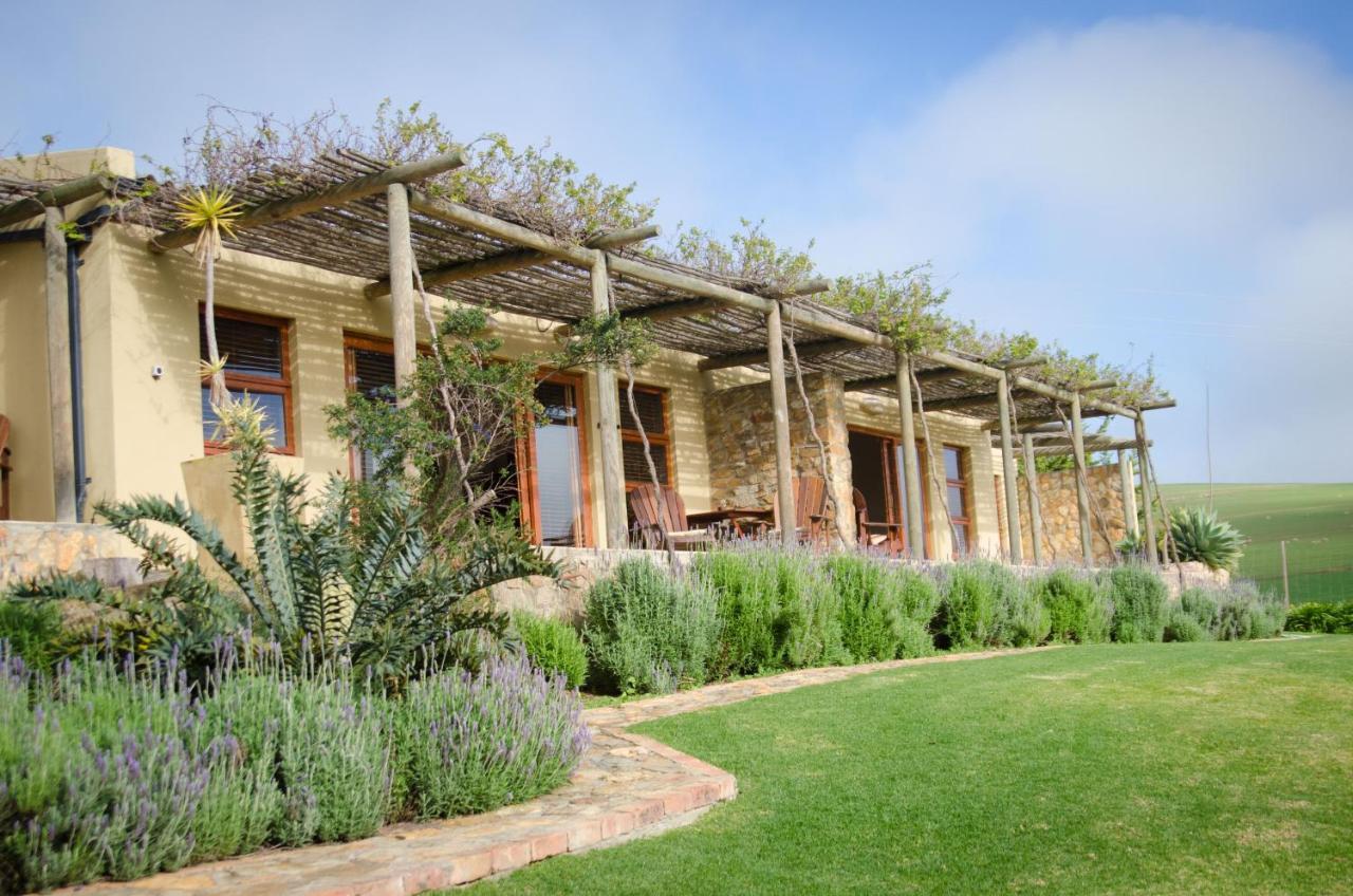 Rouxwil Country House Caledon Εξωτερικό φωτογραφία